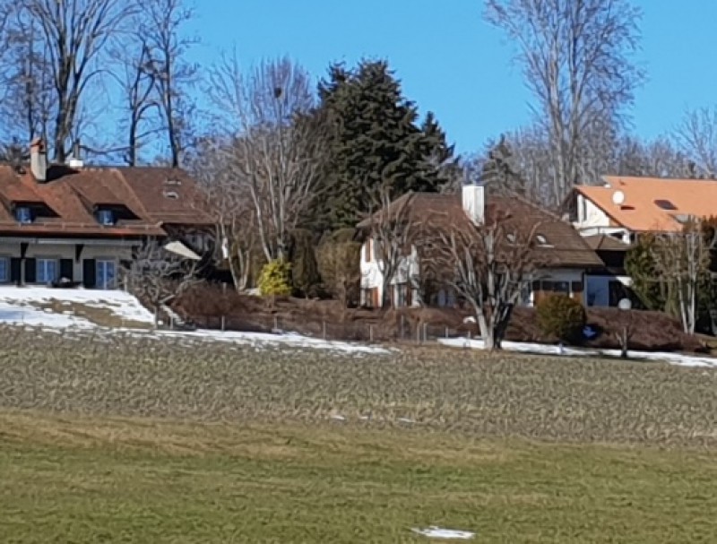 galerie20190214_125554