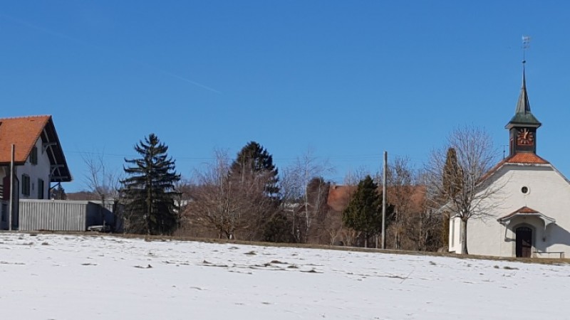 galerie20190214_130014-1