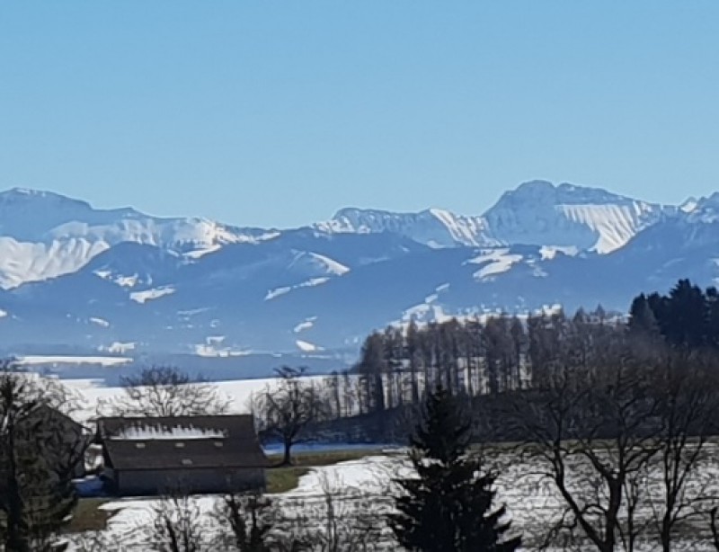 galerie20190214_130429