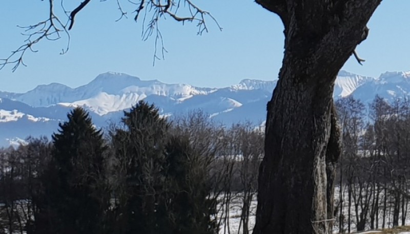 galerie20190214_130803