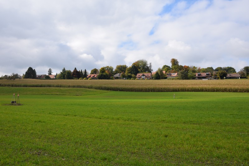 ropraz-ambiance-champ