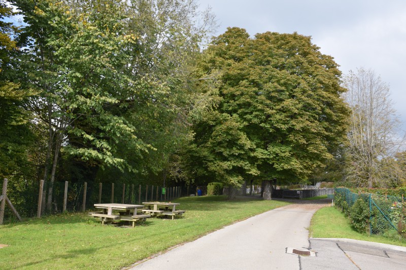 Ambiance pique-nique