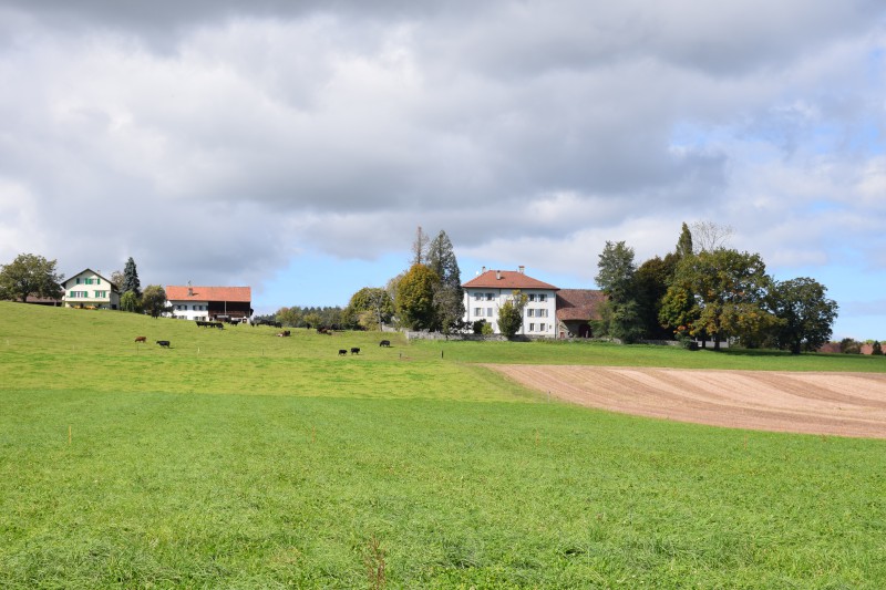 ropraz-ambiance-village